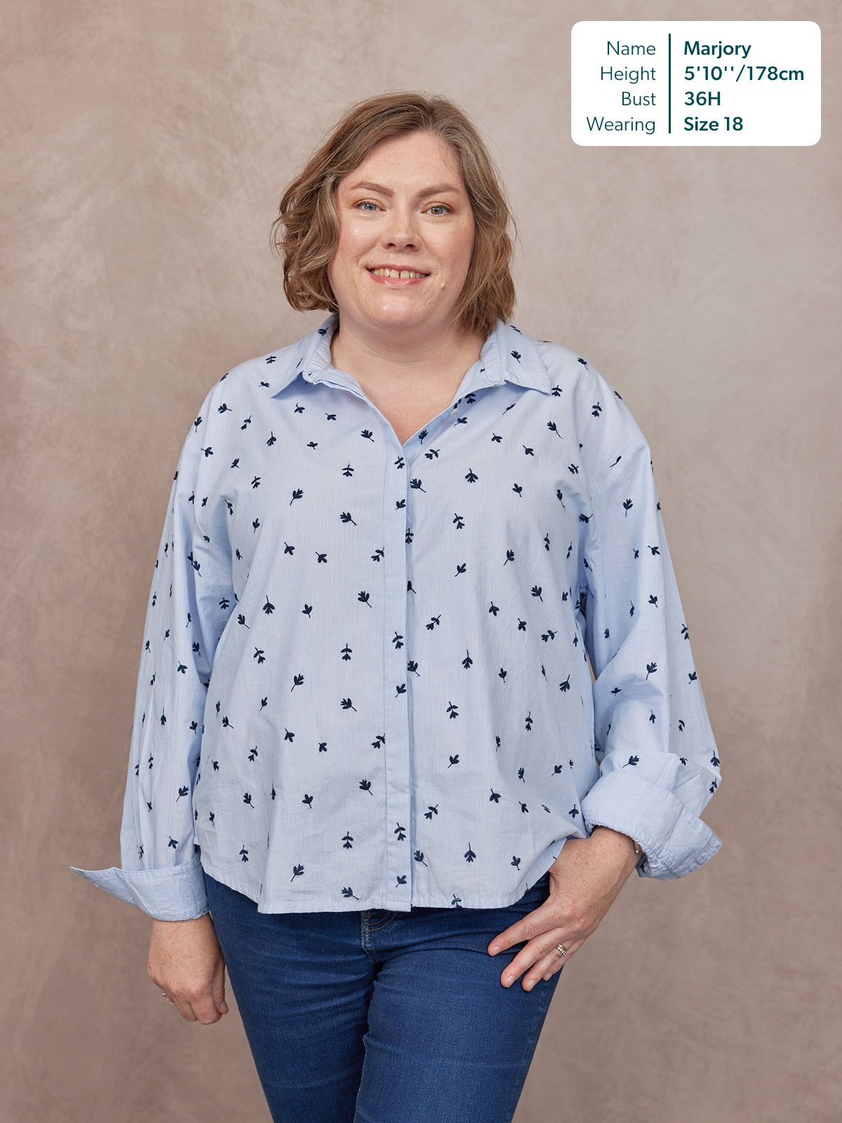 Sandra Embroidered Stripe Shirt - Blue & White