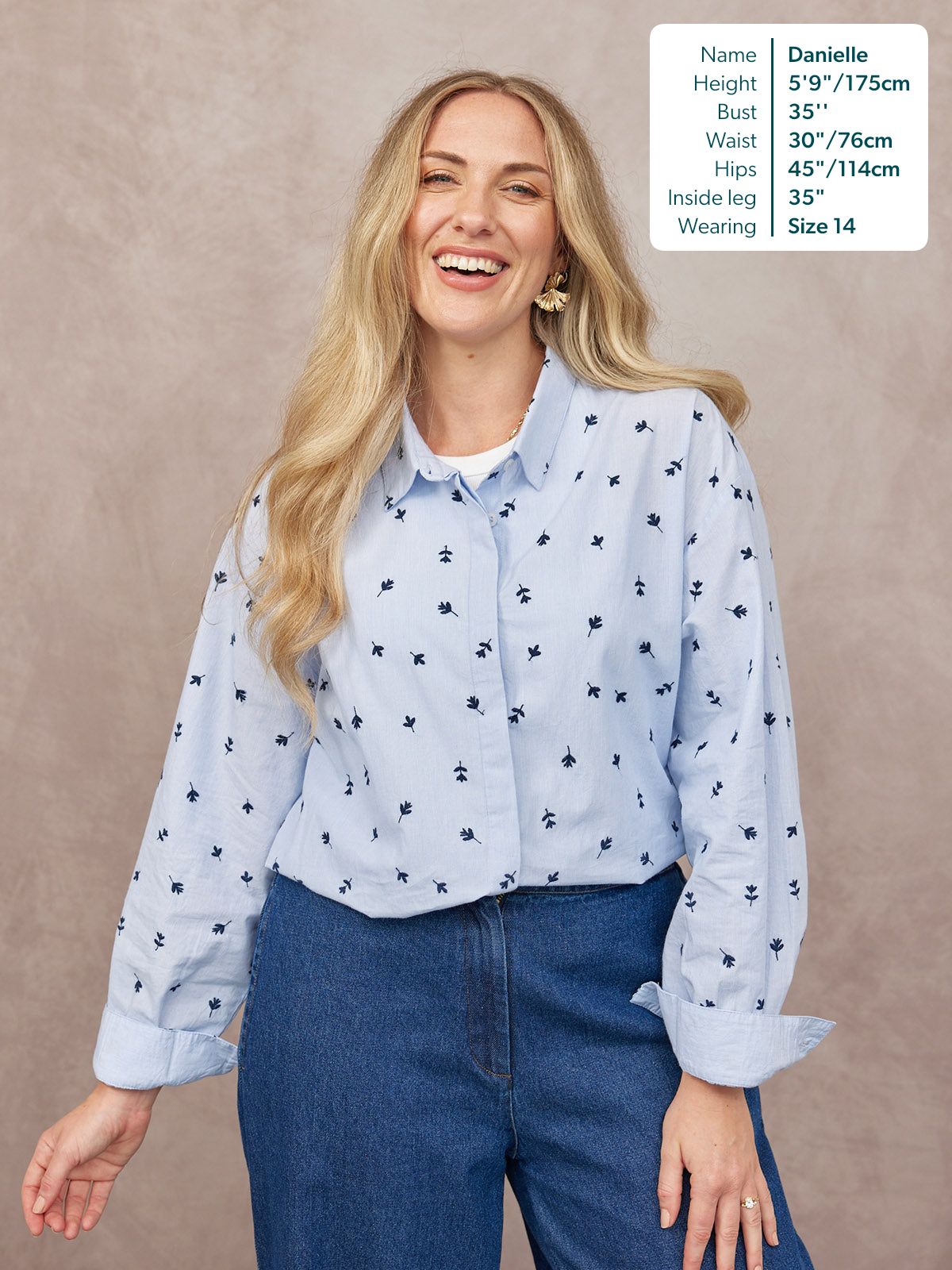 Sandra Embroidered Stripe Shirt - Blue & White
