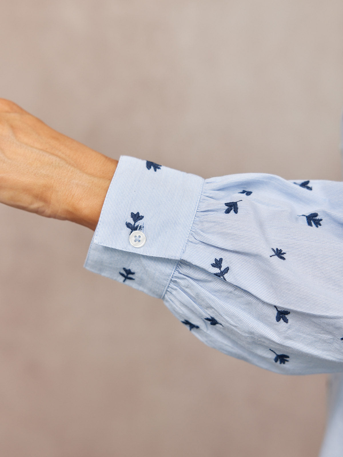 Sandra Embroidered Stripe Shirt - Blue & White