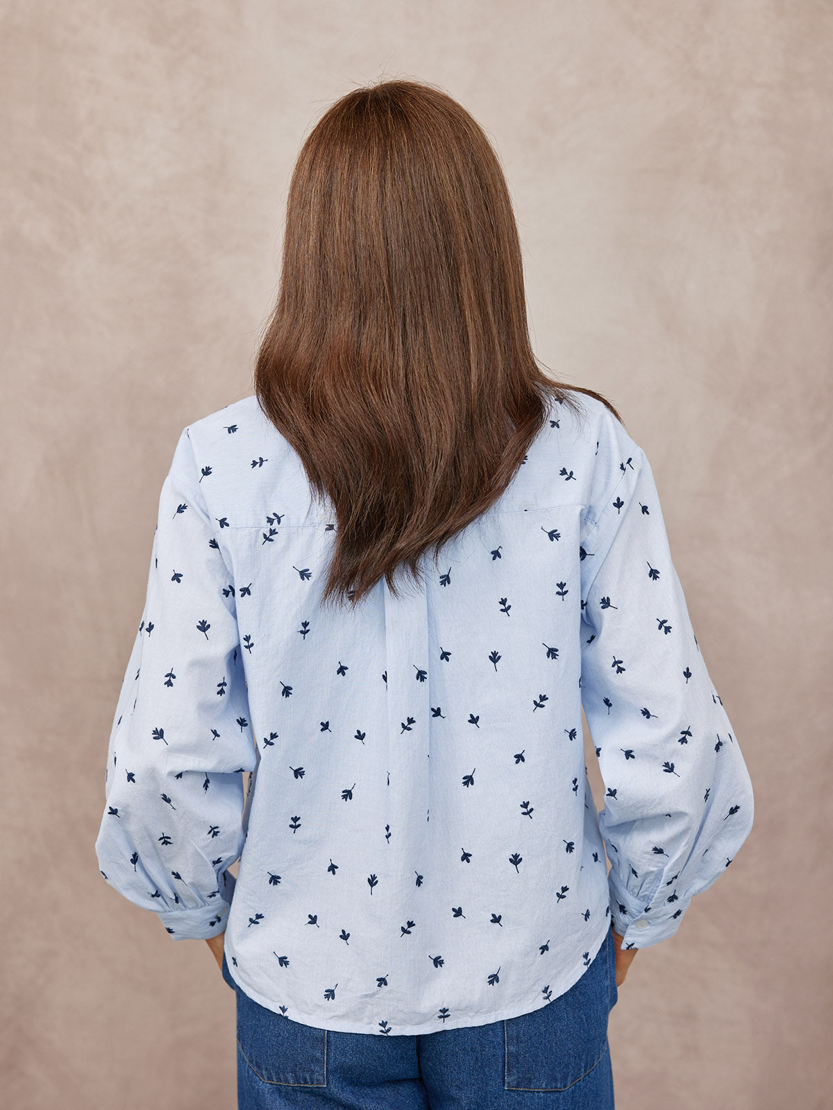 Sandra Embroidered Stripe Shirt - Blue & White