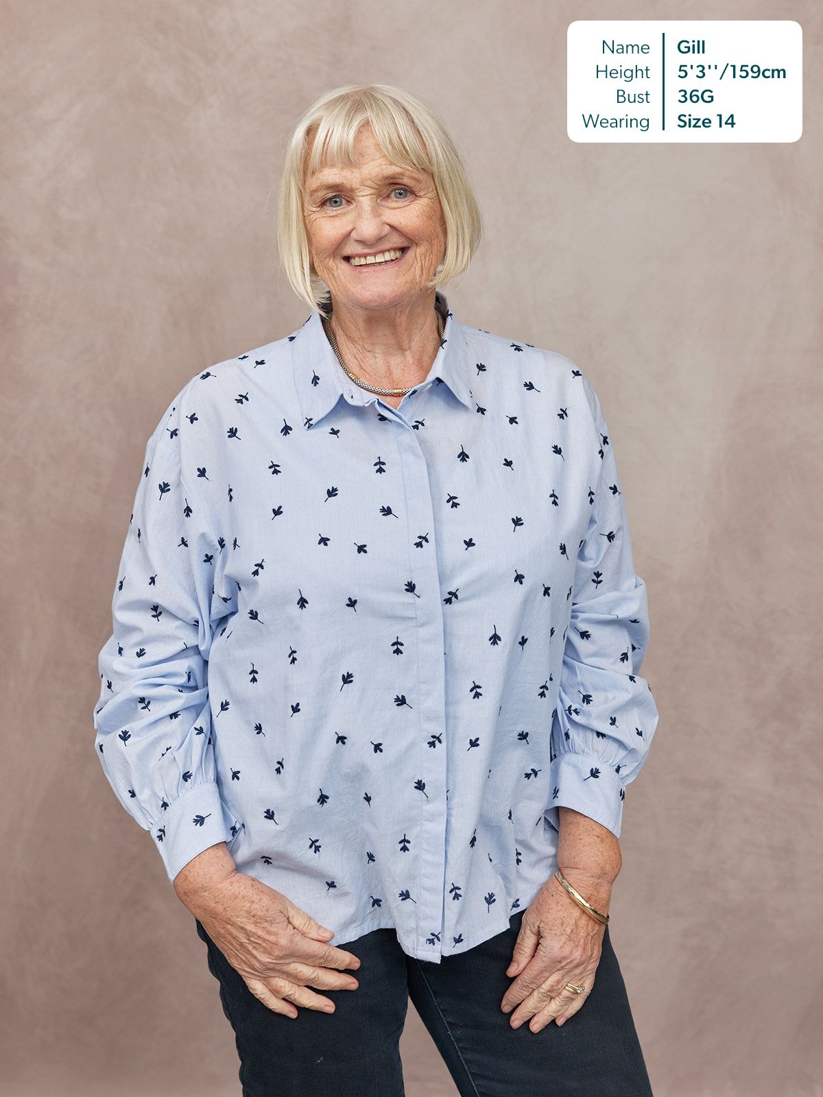 Sandra Embroidered Stripe Shirt - Blue & White